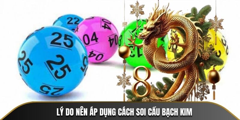 Lý do nên áp dụng cách soi cầu Bạch Kim