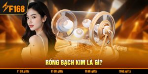 Rồng Bạch Kim Là Gì? Bí Quyết Chinh Phục Dự Đoán Chuẩn Xác