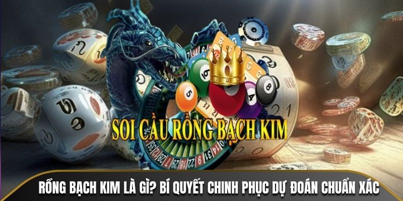 Rồng Bạch Kim Là Gì? Bí Quyết Chinh Phục Dự Đoán Chuẩn Xác